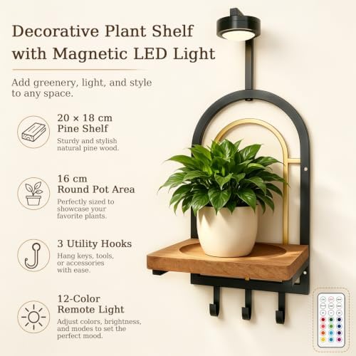 Set of 2 Wall Mounted Plant Shelves - Image 4