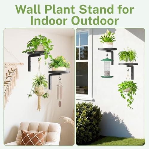 iDavosic.ly Plant Wall Hanger Holder Set of 2 - Image 5