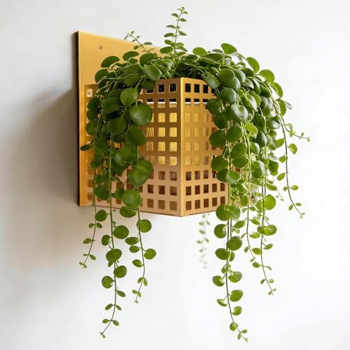 Self-Watering Wall Mount Planter – Gold Indoor Plant Holder Wall Hanging by OriginalCraftforYourHome