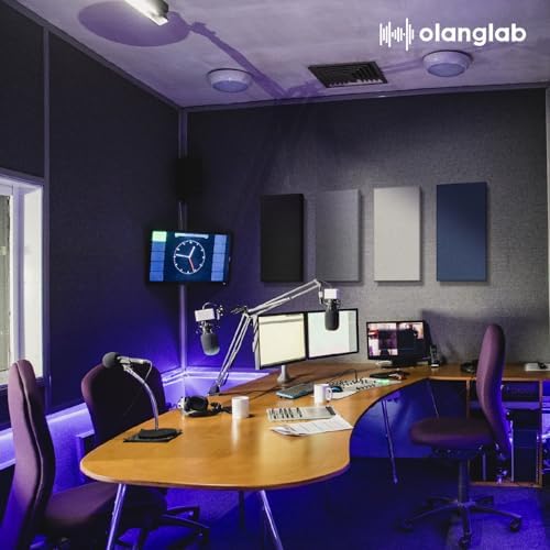 Olanglab Fiberglass Acoustic Wall Panels 4 Pack, 11.8'' x 23.6'' Sound Panels - Image 7