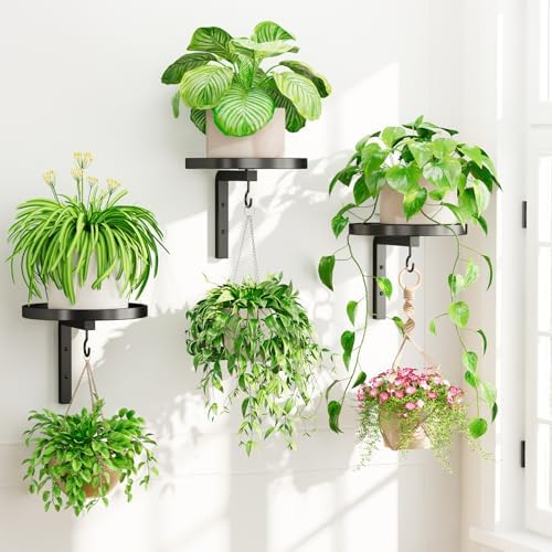 iDavosic.ly Plant Wall Hanger Holder Set of 3 by iDavosicly