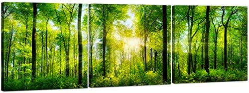 Forest Wall Art Decor, Large 3 Panel Canvas 24x72 by LovelyHomeEssentials