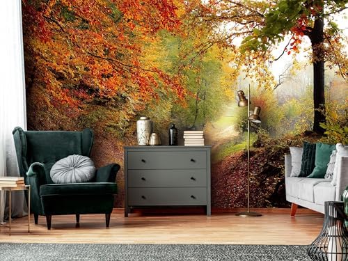 Trail Forest Leisure Timewall murals Woodland Tree Peel and Stick self Adhesive - Image 2