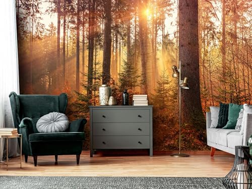 Autumn Sunshine Forest Realistic Style wall murals Woodland Tree Peel and Stick - Image 4