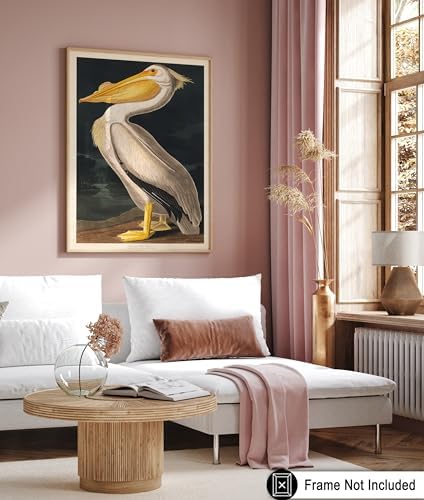 Poster Master Vintage John James Audubon Poster - Image 6