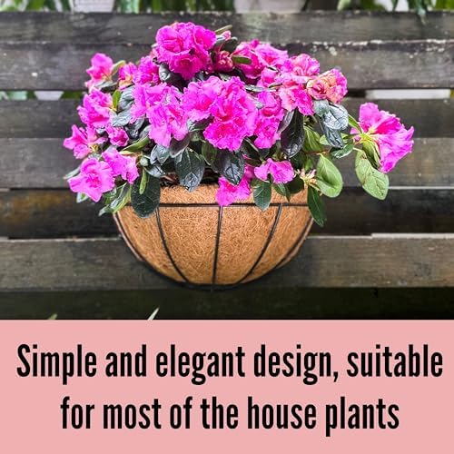 LaLaGreen Wall Planter Black Metal Coco Liner Flower Pots - Image 5