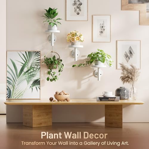 YUOROS 3 Pack Wall Planters for Indoor Plants - Image 3