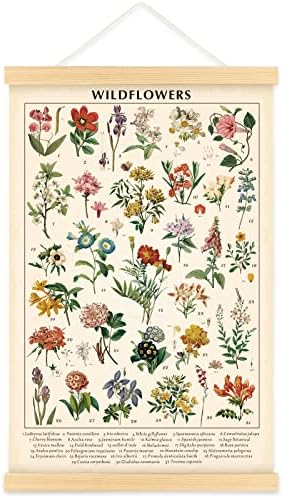 Wildflower Botanical Chart Poster, Vintage Floral Wall Art, 15.7 x 23.6 in by Tatuo