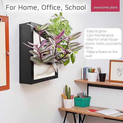 Wall Garden 4 Vertical Wall Planter, 4 Pots Wood Frame Self Watering Living - Image 4