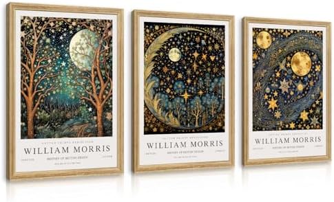 Hianan Wood Framed William Morris Moon Star Wall Art Set of 3, 12x16 in by Unknown