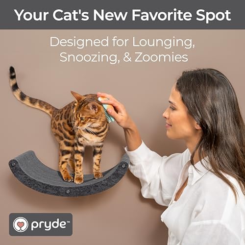 Cat Wall Shelf - Indoor & Outdoor by Pryde Pets - Image 5