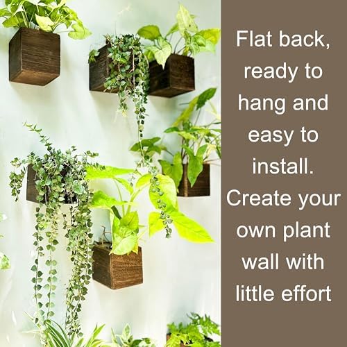 LaLaGreen Wood Planter Boxes for Plants Wooden Wall Planters - Image 6