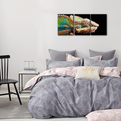 Pacimo Canvas Print Wall Art Set Chameleon Nature Photography Animals Realism - Image 3