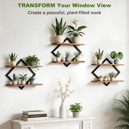 Set of 3 Floating Wall Shelves for Plants - Image 6