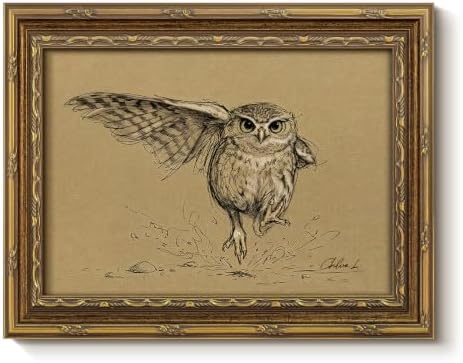 InSimSea Gold Framed Owl Wall Art, Vintage Animal Sketch Painting, 8x10 In by InSimSeaArt