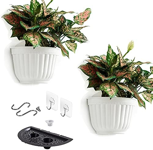 2 Pack Resin Wall Hanging Planter Pots Vertical Garden Living Wall Mount Window by OrimercGarden