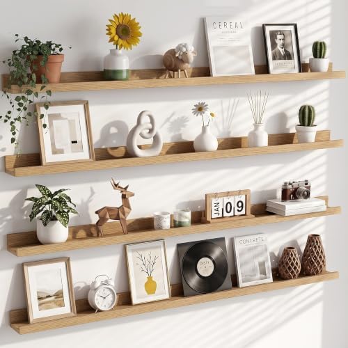 Heimlove 48 Inch Picture Ledge Shelf by Heimlove