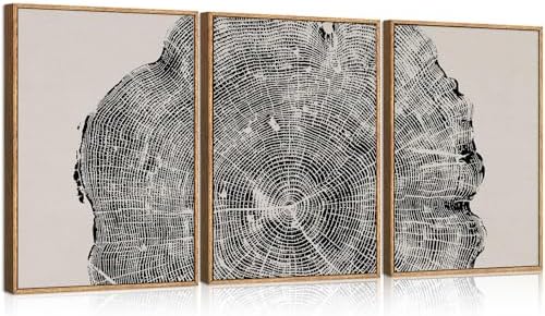CHDITB Framed Tree Ring Wall Art Set of 3, Large Black and White Wall Painting by CHDITB