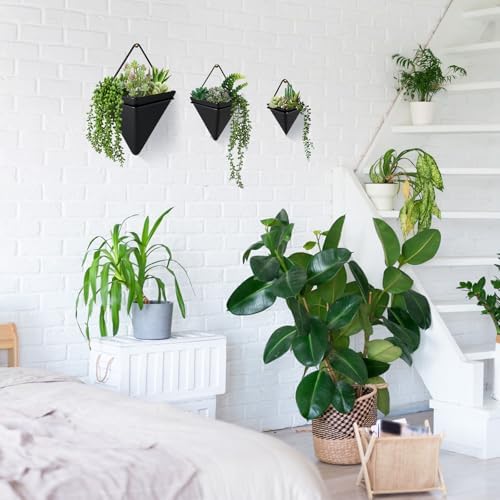 Rtteri 18 Pcs Wall Hanging Planter - Image 5