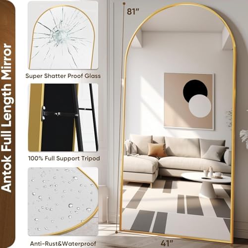 Antok 81" x41” Arched Full Length Mirror - Image 4