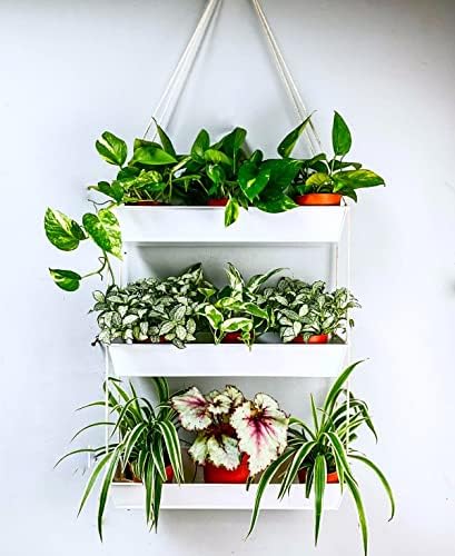 LaLaGreen Boho Wall Planter White Succulent Herb Garden by L%C3%A1L%C3%A1Green