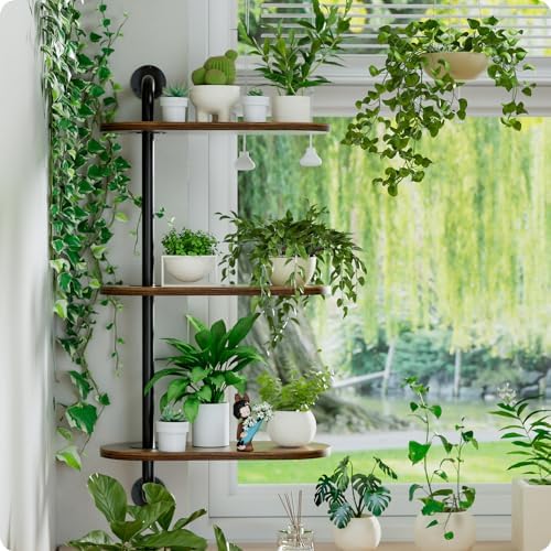 Rotating Window Plant Shelves 3-Tier, Wooden Window Shelf - Image 5