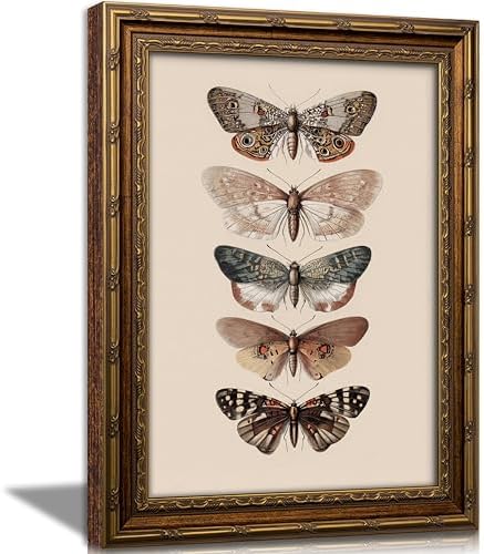 Vintage Gold Framed Butterfly Canvas Wall Art, Retro Moody Moth Painting by VintageGoldFramedWallArt