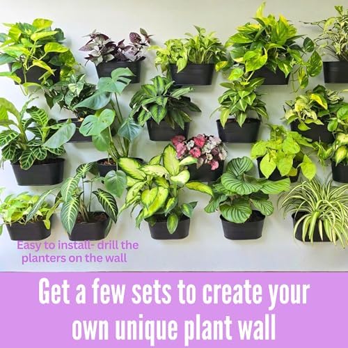 LaLaGreen Hanging Wall Planter Black Metal Plant Shelf - Image 3