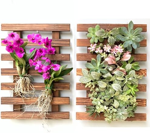 ShopLaLa Wall Planters Wooden Air Plant Holder by ShopLaLa