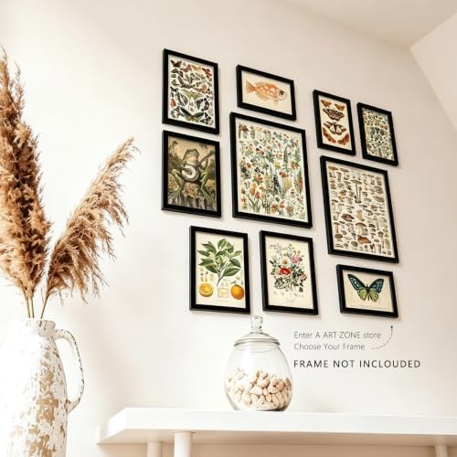 A ART·ZONE Vintage Botanical 10Pcs Mixed Natural Prints Unframed Poster - Image 4
