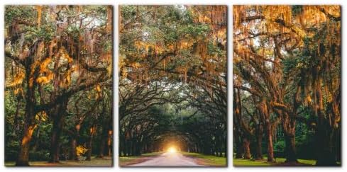 Pacimo 3 Pieces Autumn Landscape Wall Art Decor Fall Orange Hanging Tree Canopy by Pacimo