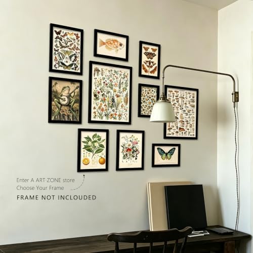 A ART·ZONE Vintage Botanical 10Pcs Mixed Natural Prints Unframed Poster - Image 6