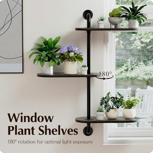 Rotating Window Plant Shelves 3-Tier, Wooden Window Shelf - Image 3