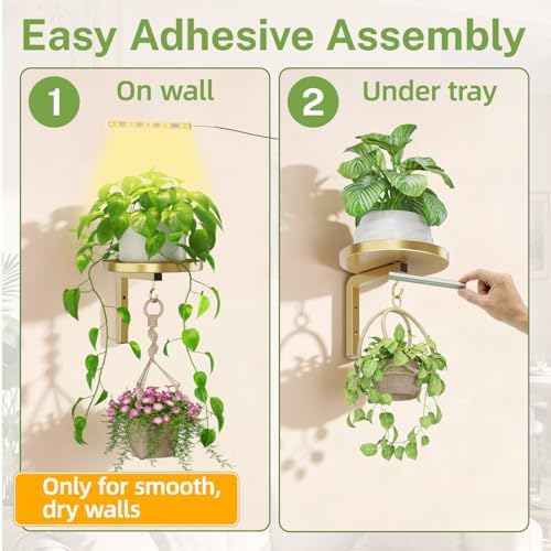 iDavosic.ly Plant Wall Hanger - Image 6