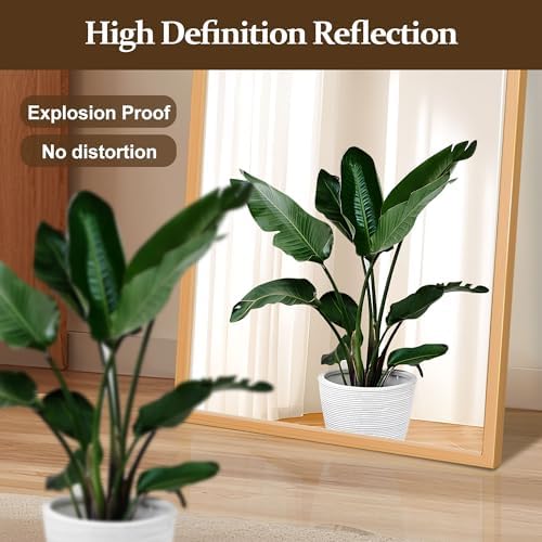 NicBex 56"x18" Full Length Mirror - Image 2