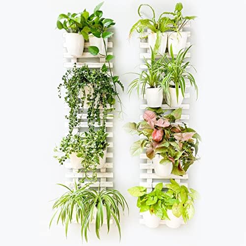 ShopLaLa Wooden Wall Hanging Planter by ShopLaLa