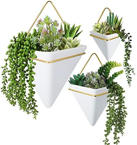 Rtteri 18 Pcs Wall Hanging Planter by Rtteri