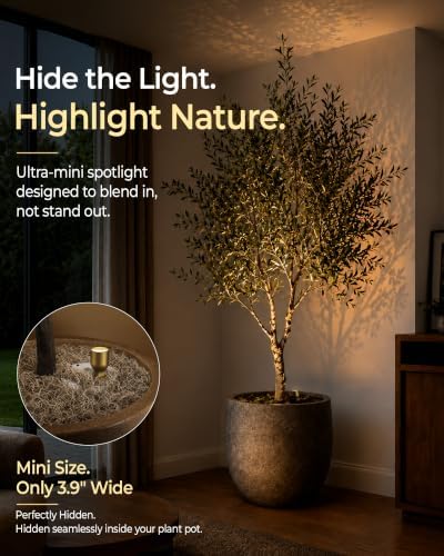EZVALO Spotlight Indoor, Rechargeable Battery Picture Lights, Wireless Uplights - Image 5