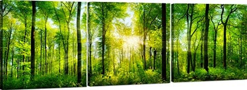 Forest Wall Art Decor, 3 Panel Canvas 48x16 by LovelyHomeEssentials