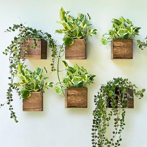 LaLaGreen Planter Boxes for Indoor Plant Wooden Wall Planters by L%C3%A1L%C3%A1Green