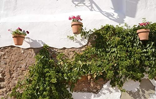 Darware Metal Wall Ring Planters - Image 4