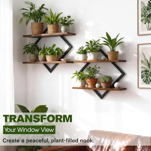2 Pack Floating Wall Shelves Plant Holders - Image 3