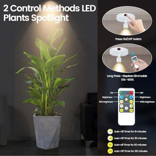 HAMVIDNE LED Spotlights Indoor, Rechargeable Battery Picture Display Lights - Image 3