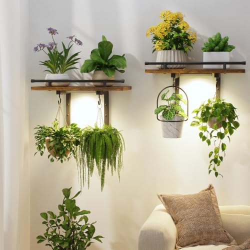 LASZOLA Wall Plant Shelves Floating Hanger Holder by LASZOLA