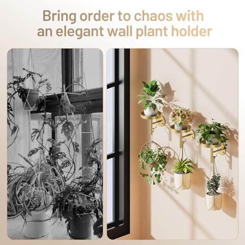 YUOROS 3 Pack Wall Plant Holder Stand Wall Planters - Image 4