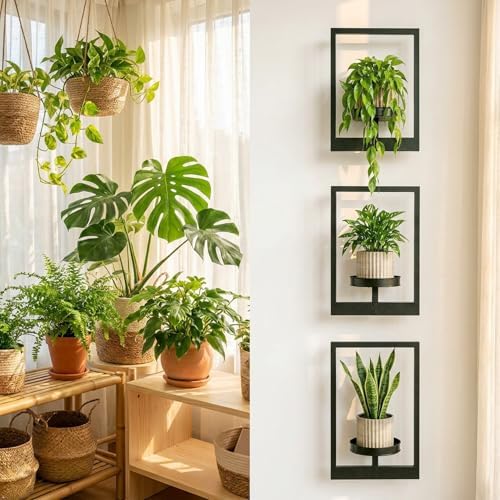 Picture Frame Wall Planters Set of 3, Modern Metal Hanging Shelves - Image 4