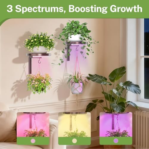 iDavosic.ly Plant Wall Hanger - Image 5