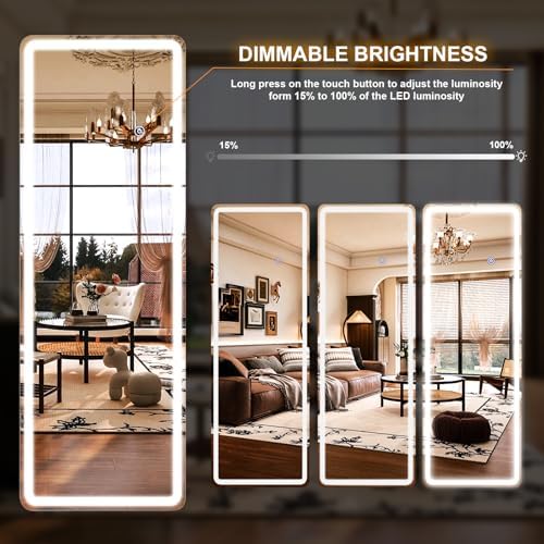 Easly 26x68 inch Full Length Mirror - Image 6