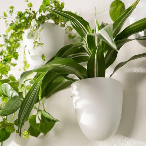 PlantPod Classic - Image 6