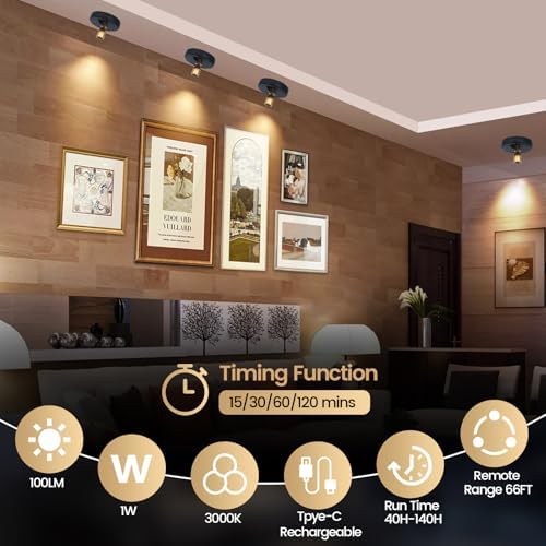 HAMVIDNE LED Spotlights Indoor, Rechargeable Battery Picture Display Lights - Image 4